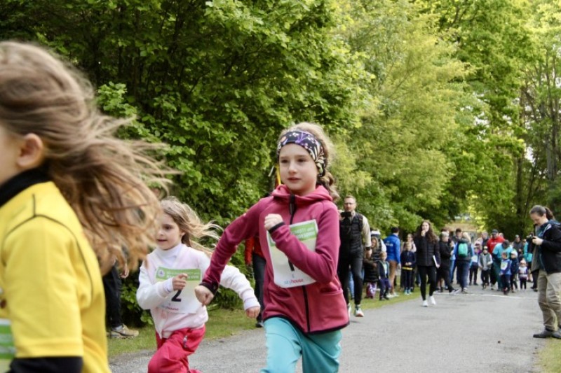 Fotografie IMG_3240.jpg v galerii Sova 2025 foto Dan