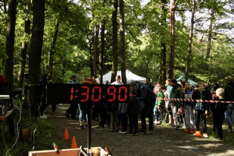 Fotografie IMG_3311.jpg v galerii Sova 2025 foto Dan