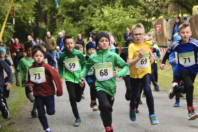 Fotografie IMG_3436.jpg v galerii Sova 2025 foto Dan