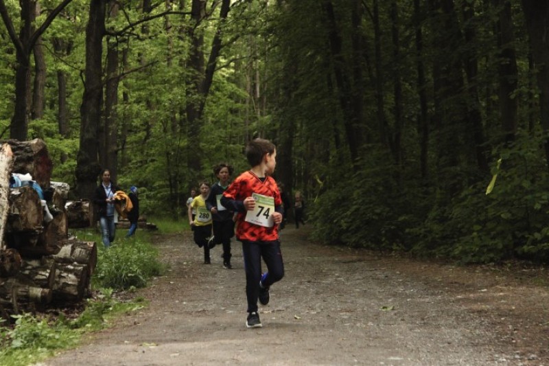 Fotografie IMG_3480.jpg v galerii Sova 2025 foto Dan