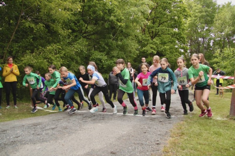 Fotografie IMG_3509.jpg v galerii Sova 2025 foto Dan