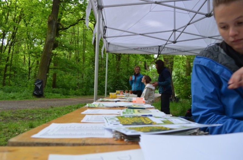 Fotografie DSC_0820.JPG v galerii Sova 2025 foto Renata