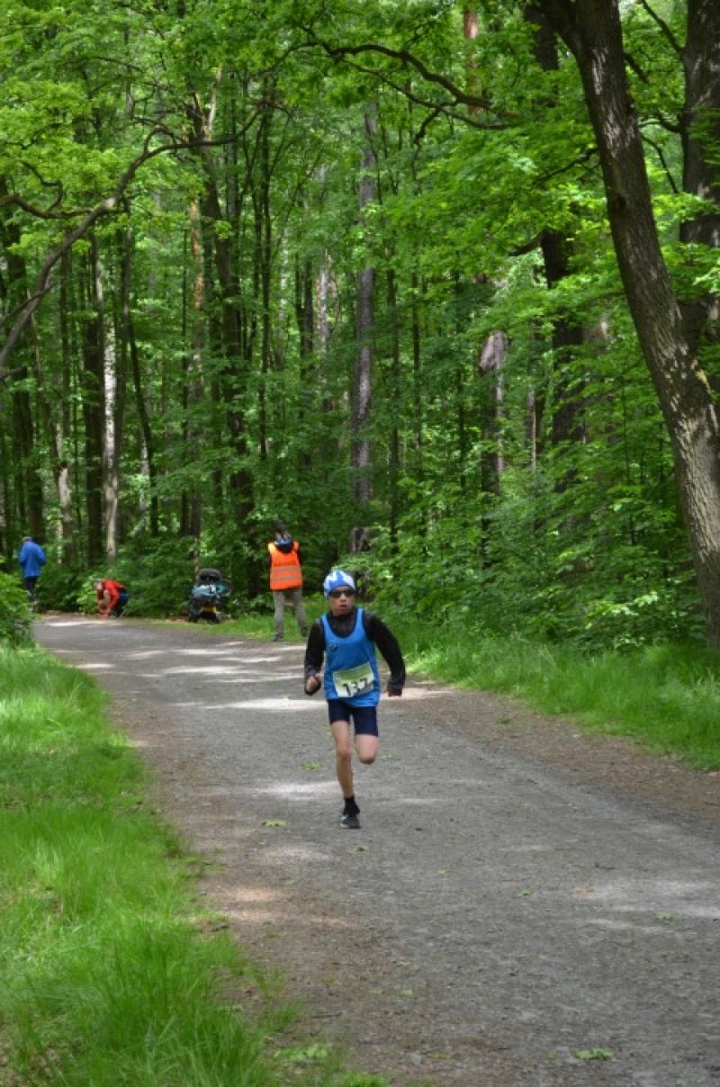 Fotografie DSC_1019.JPG v galerii Sova 2025 foto Renata