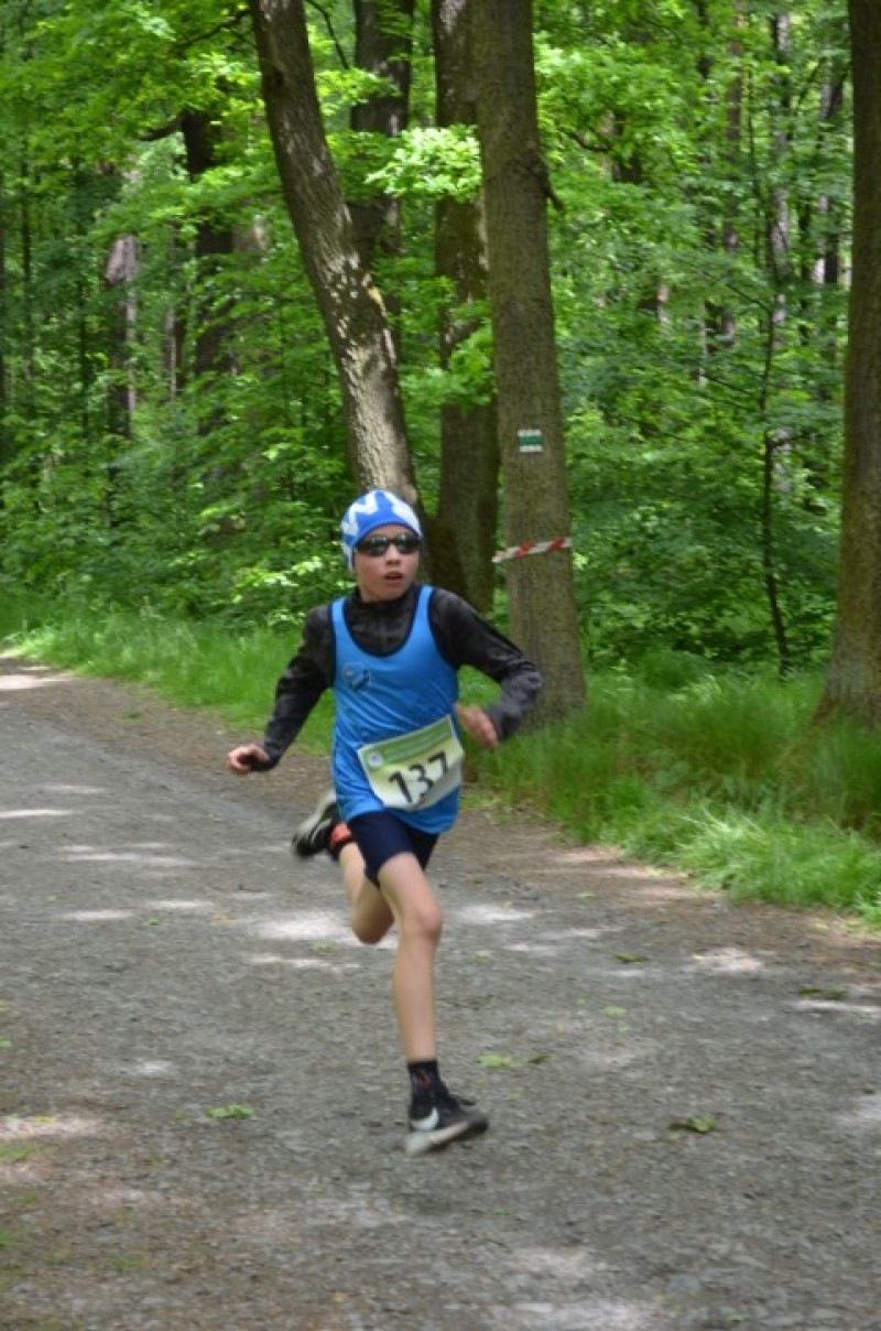 Fotografie DSC_1020.JPG v galerii Sova 2025 foto Renata