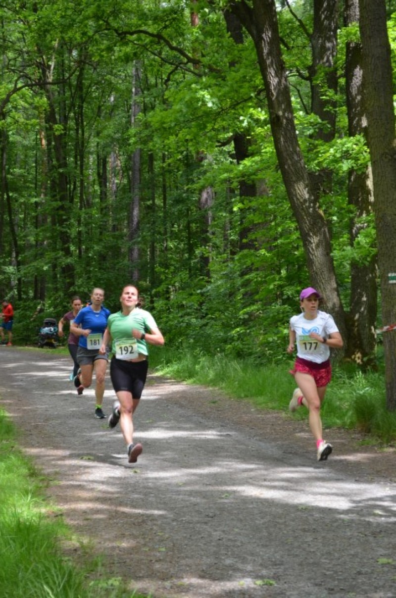 Fotografie DSC_1028.JPG v galerii Sova 2025 foto Renata