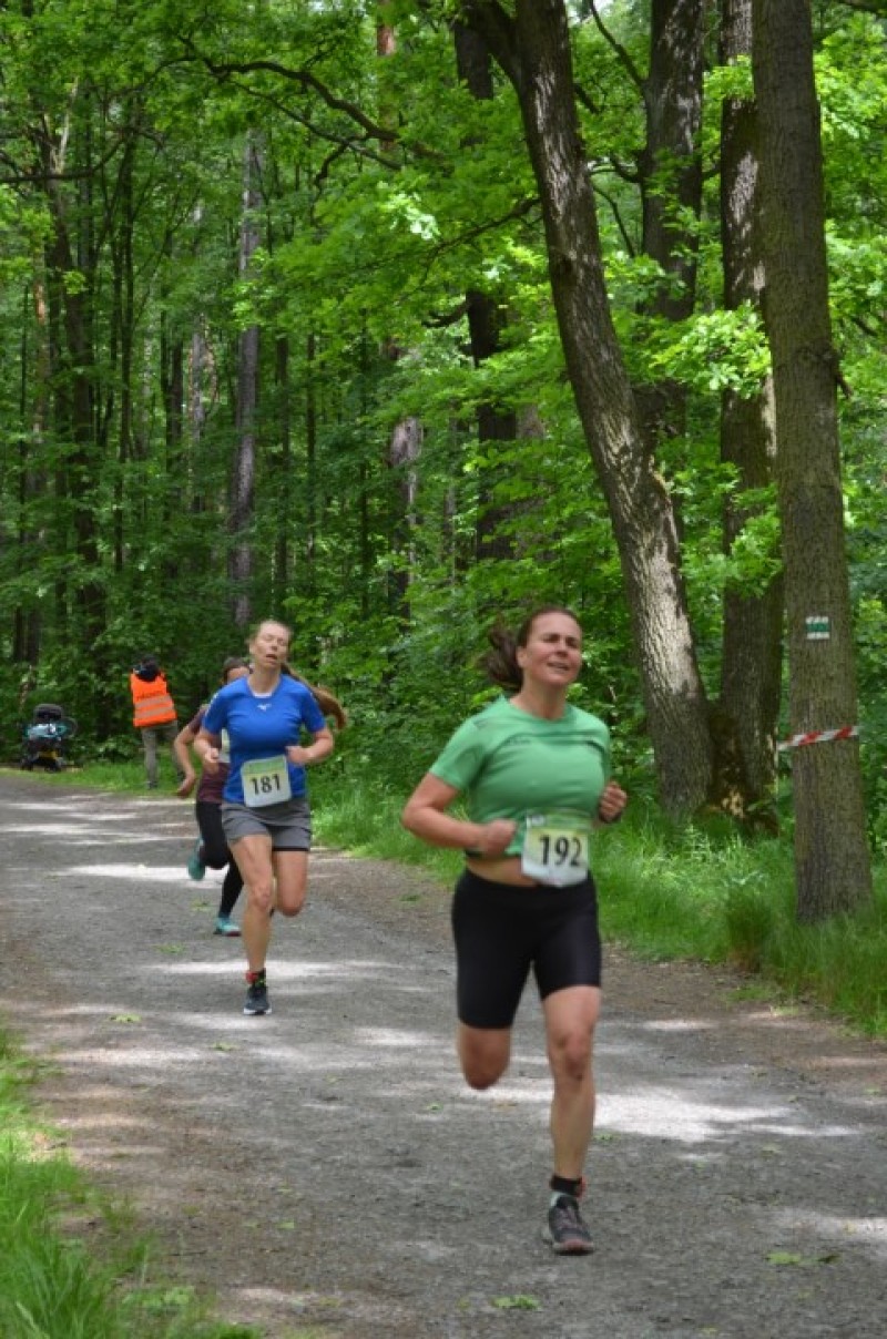 Fotografie DSC_1029.JPG v galerii Sova 2025 foto Renata