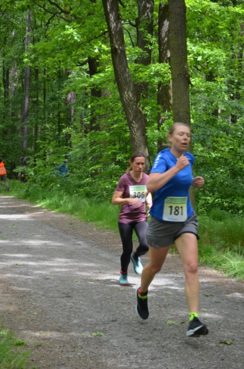 Fotografie DSC_1030.JPG v galerii Sova 2025 foto Renata