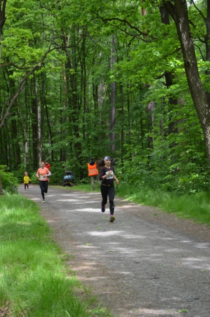 Fotografie DSC_1032.JPG v galerii Sova 2025 foto Renata