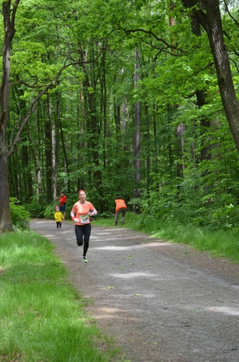 Fotografie DSC_1033.JPG v galerii Sova 2025 foto Renata