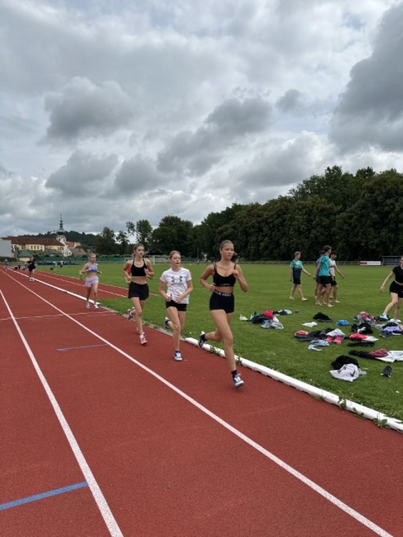 Fotografie IMG_0007.jpeg v galerii Sušice 2025