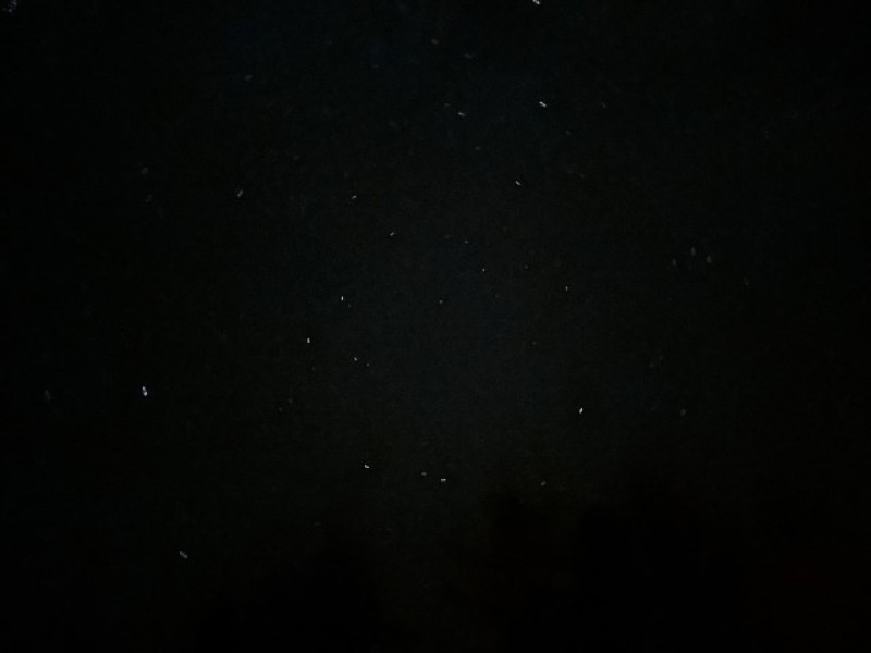 Fotografie IMG_0090.jpeg v galerii Sušice 2025