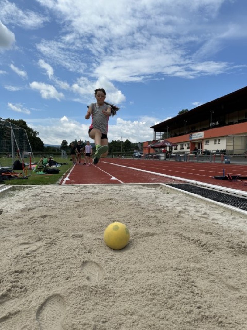 Fotografie IMG_0189.jpeg v galerii Sušice 2025