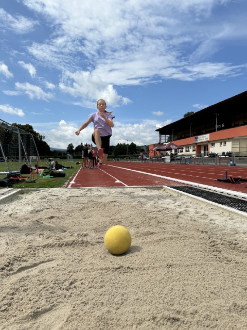 Fotografie IMG_0190.jpeg v galerii Sušice 2025