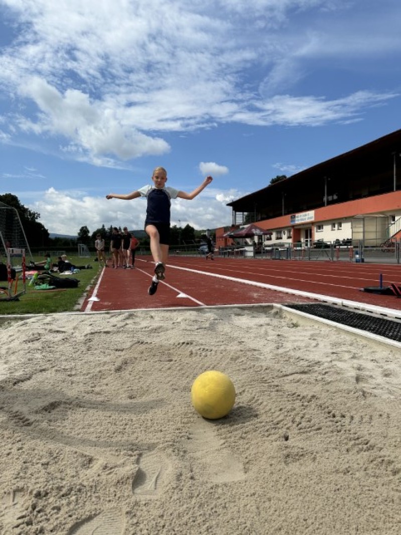 Fotografie IMG_0191.jpeg v galerii Sušice 2025