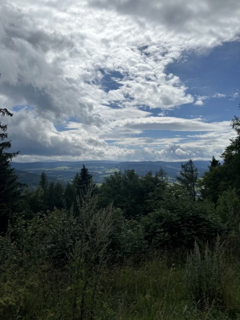 Fotografie IMG_0247.jpeg v galerii Sušice 2025