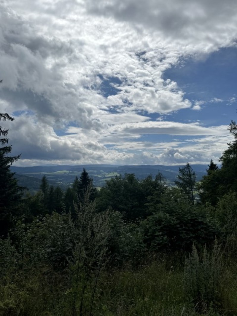 Fotografie IMG_0248.jpeg v galerii Sušice 2025