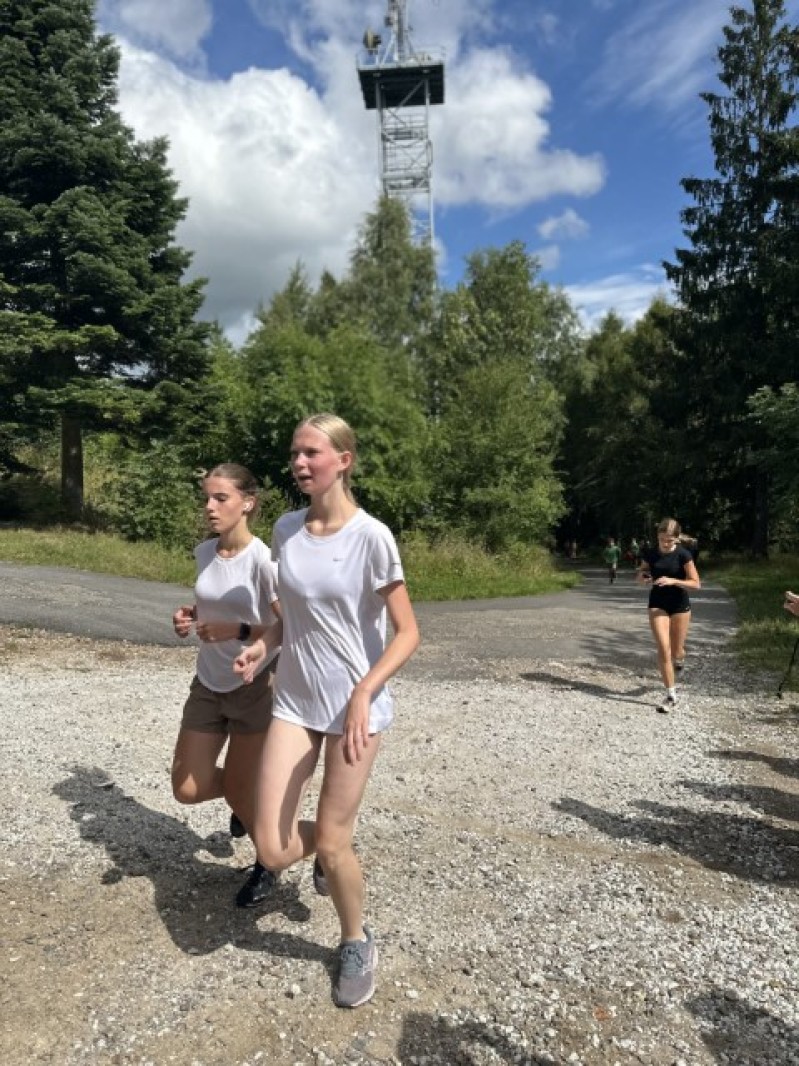 Fotografie IMG_0294.jpeg v galerii Sušice 2025