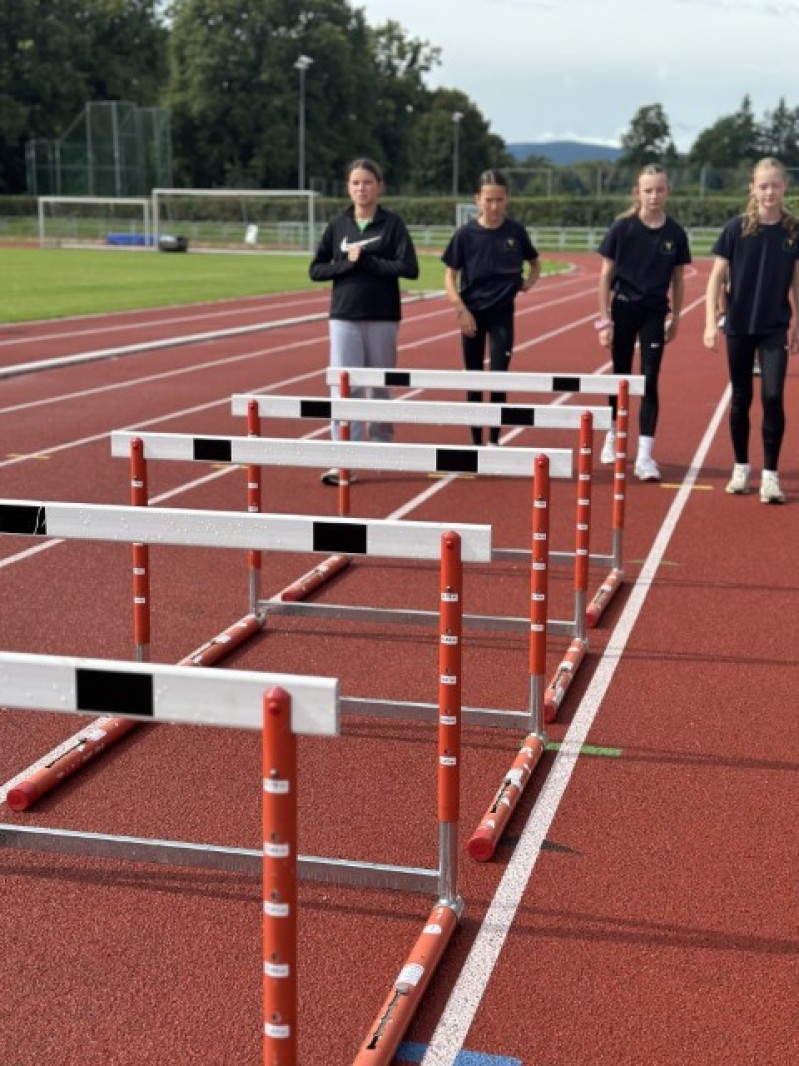 Fotografie IMG_0511.jpeg v galerii Sušice 2025