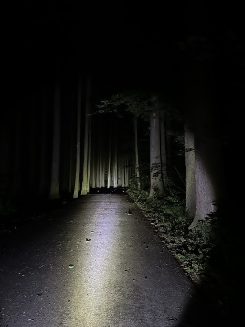 Fotografie IMG_0790.jpeg v galerii Sušice 2025