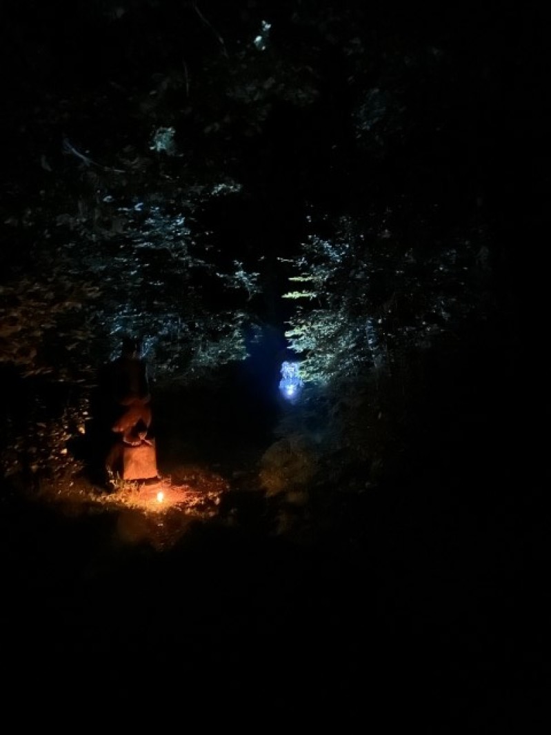 Fotografie IMG_0805.jpeg v galerii Sušice 2025