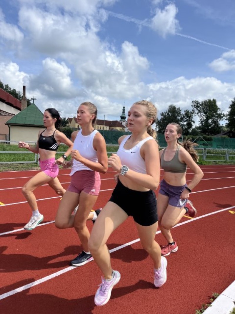 Fotografie IMG_3355.jpeg v galerii Sušice 2025