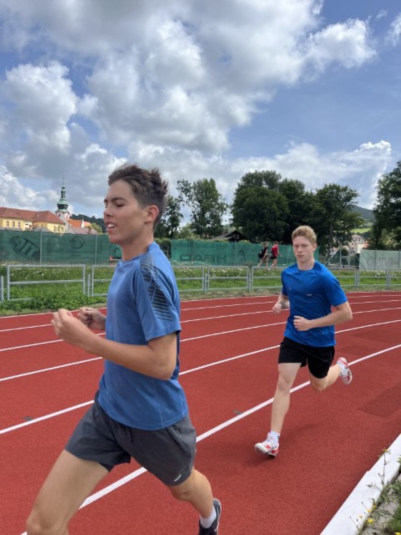 Fotografie IMG_3376.jpeg v galerii Sušice 2025