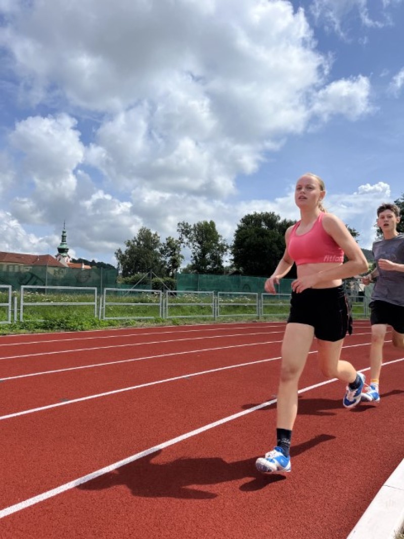 Fotografie IMG_3383.jpeg v galerii Sušice 2025