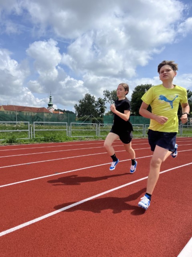 Fotografie IMG_3391.jpeg v galerii Sušice 2025