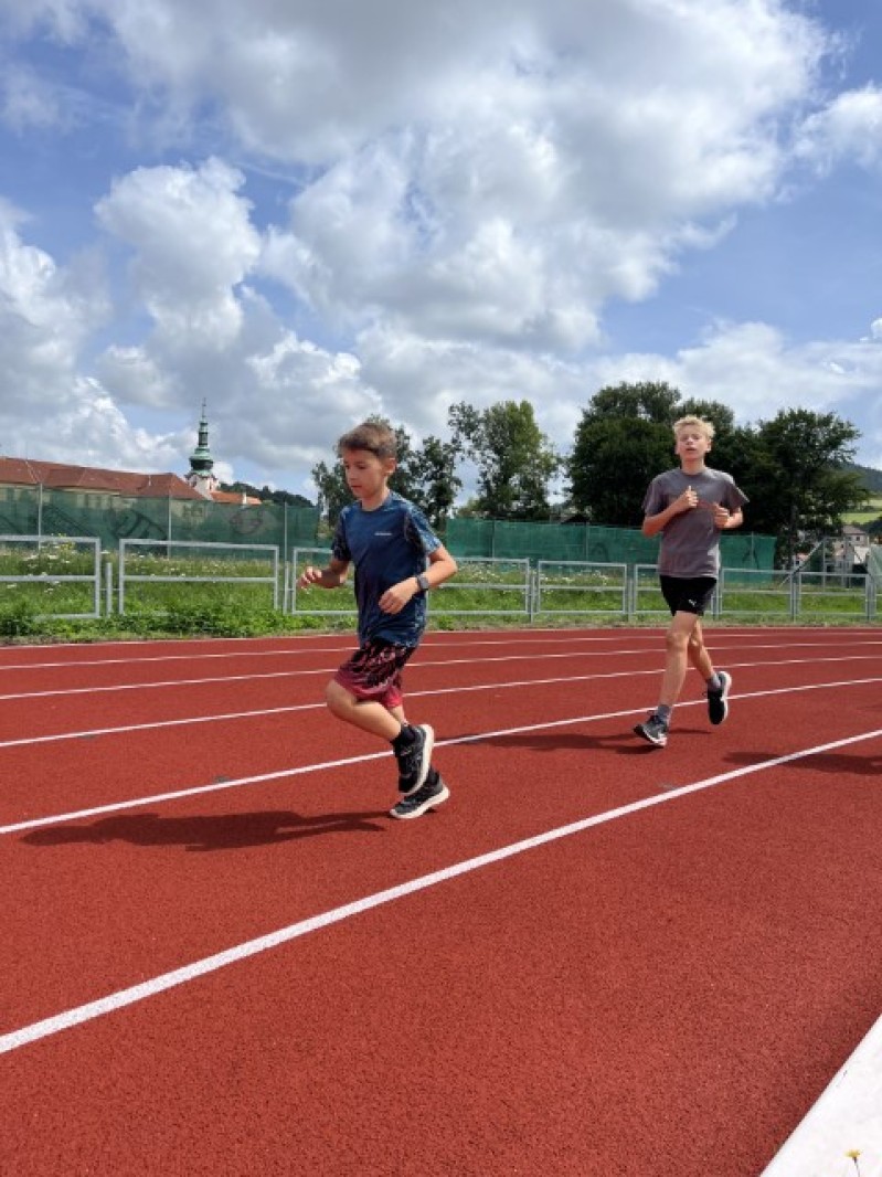 Fotografie IMG_3392.jpeg v galerii Sušice 2025