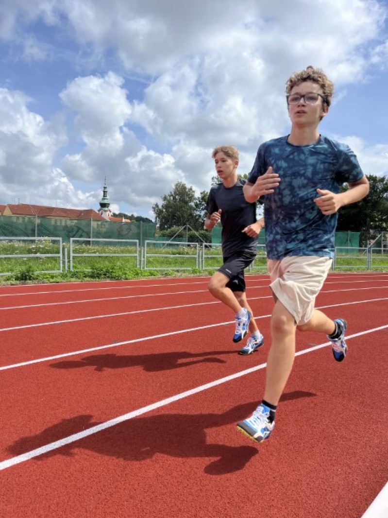 Fotografie IMG_3398.jpeg v galerii Sušice 2025