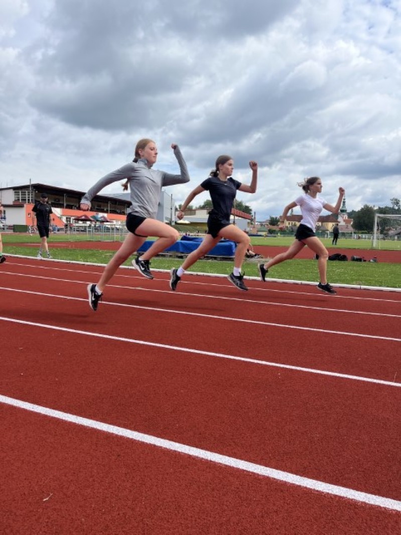 Fotografie IMG_3545.jpeg v galerii Sušice 2025