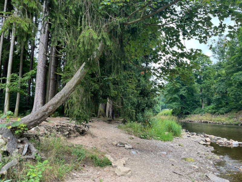 Fotografie IMG_3938.jpeg v galerii Sušice 2025