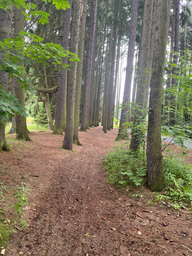 Fotografie IMG_3940.jpeg v galerii Sušice 2025