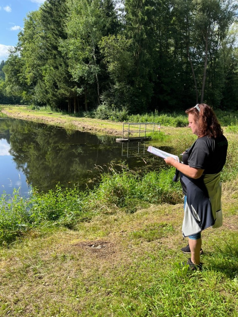 Fotografie IMG_3950.jpeg v galerii Sušice 2025