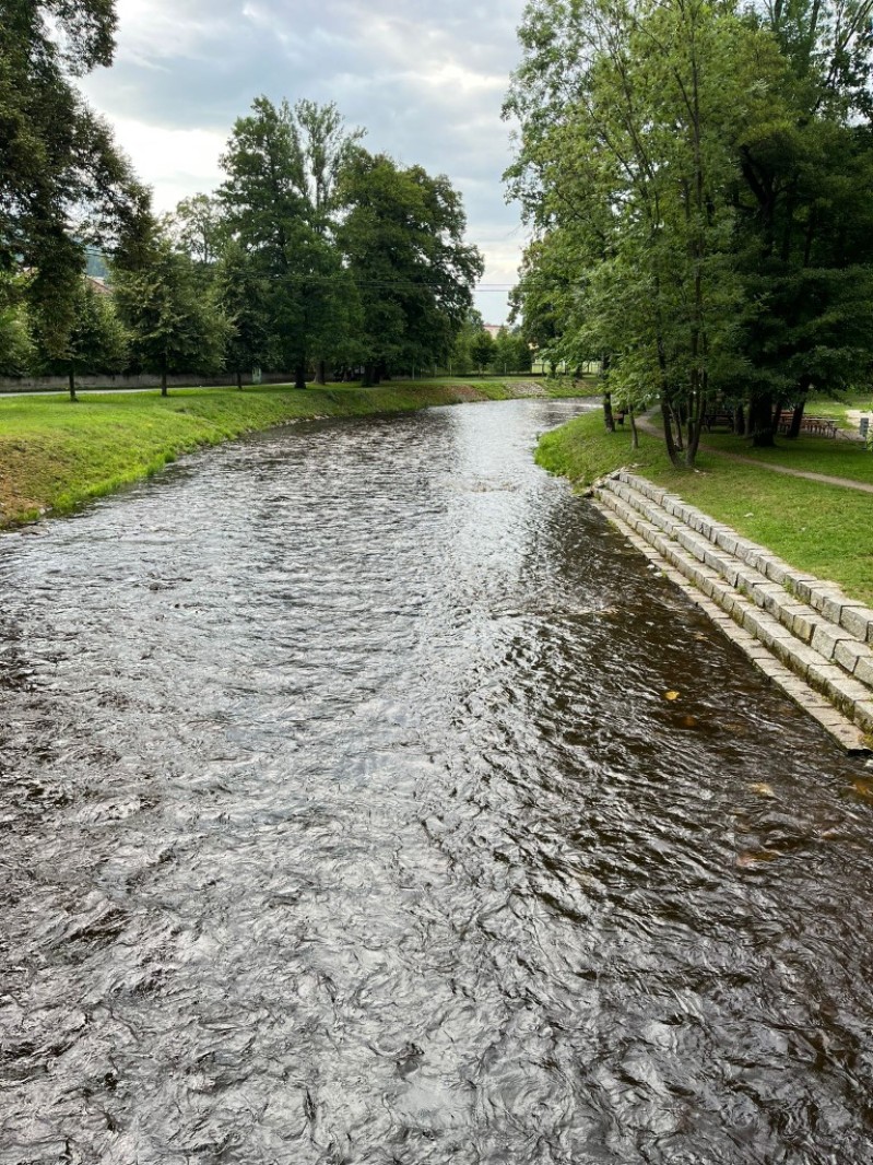 Fotografie IMG_3954.jpeg v galerii Sušice 2025