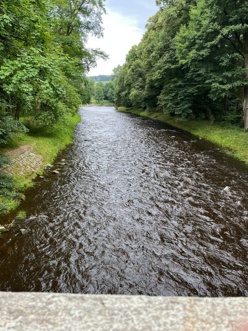 Fotografie IMG_3955.jpeg v galerii Sušice 2025