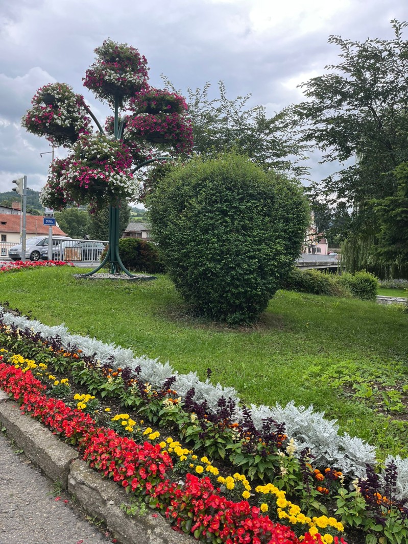 Fotografie IMG_4001.jpeg v galerii Sušice 2025