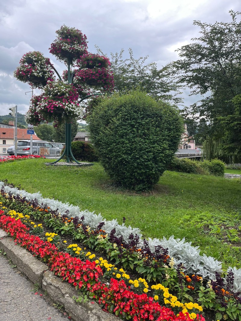 Fotografie IMG_4002.jpeg v galerii Sušice 2025