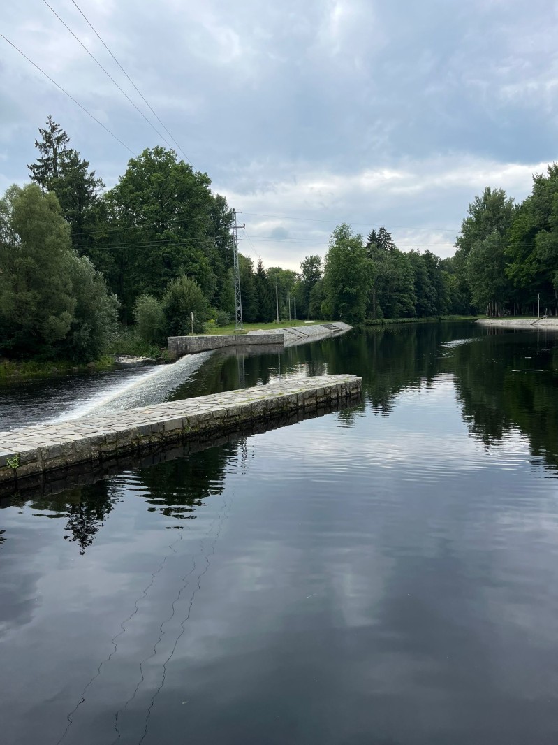 Fotografie IMG_4004.jpeg v galerii Sušice 2025