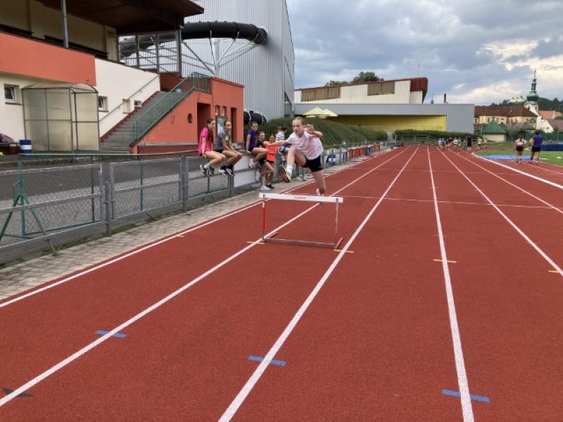 Fotografie IMG_7636.jpeg v galerii Sušice 2025