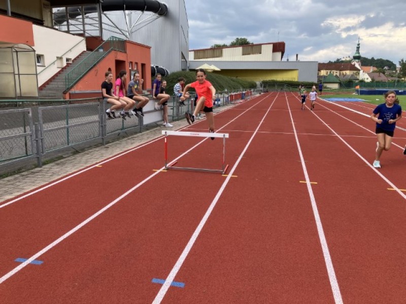 Fotografie IMG_7637.jpeg v galerii Sušice 2025