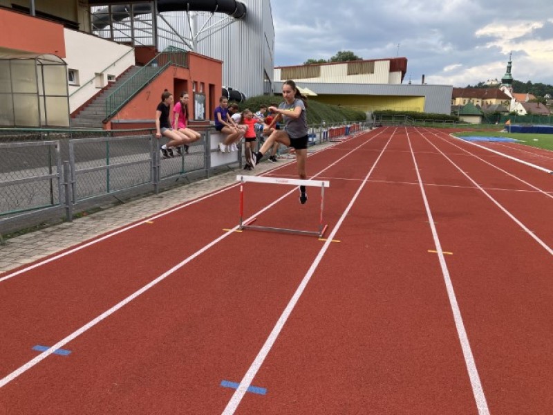 Fotografie IMG_7640.jpeg v galerii Sušice 2025