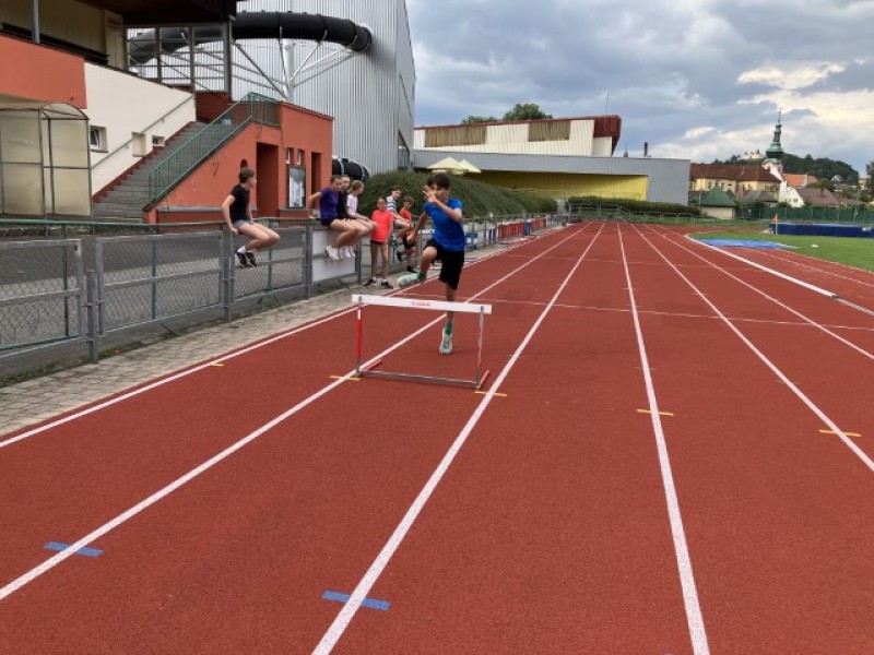 Fotografie IMG_7642.jpeg v galerii Sušice 2025