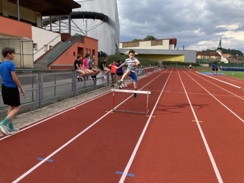 Fotografie IMG_7645.jpeg v galerii Sušice 2025